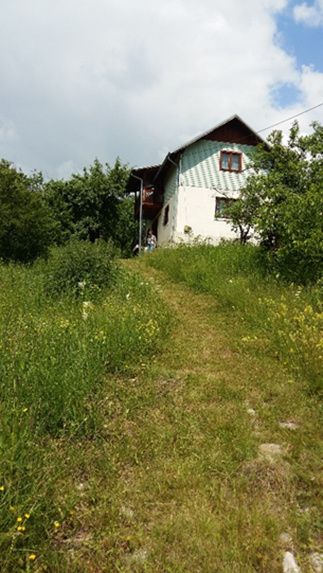 Drajna de Jos 5000 mp Teren +Casa demolabila !