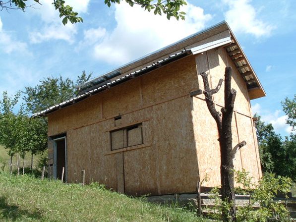 Drajna de Jos 5000 mp Teren +Casa demolabila ! — fotografia 3