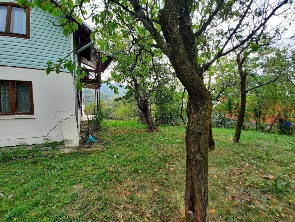 Drajna de Jos 5000 mp Teren +Casa demolabila ! — fotografia 4