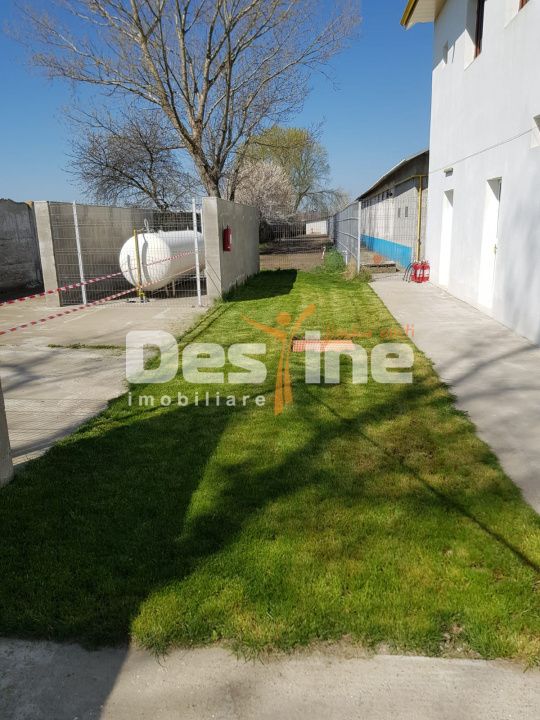 AFACERE LA CHEIE FERMA DE PORCI — fotografia 3