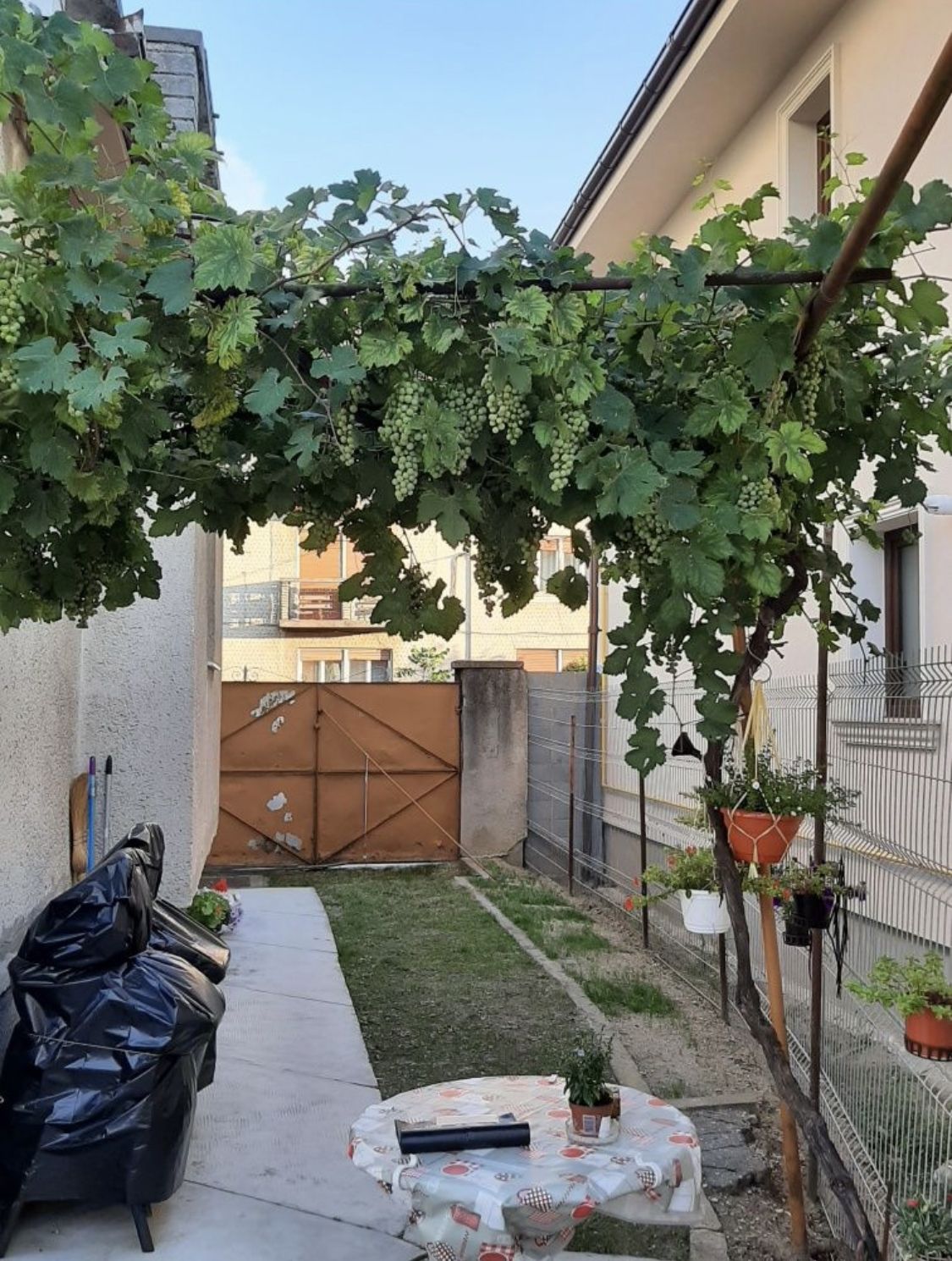 ageuropa.ro vinde casa P+2, duplex, zona Piata Mica — fotografia 5