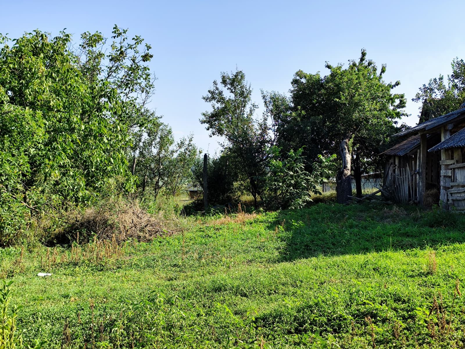 Casa la tara, Calea Mare, Bihor, teren mare, 2 intrari auto – vanzare — fotografia 17