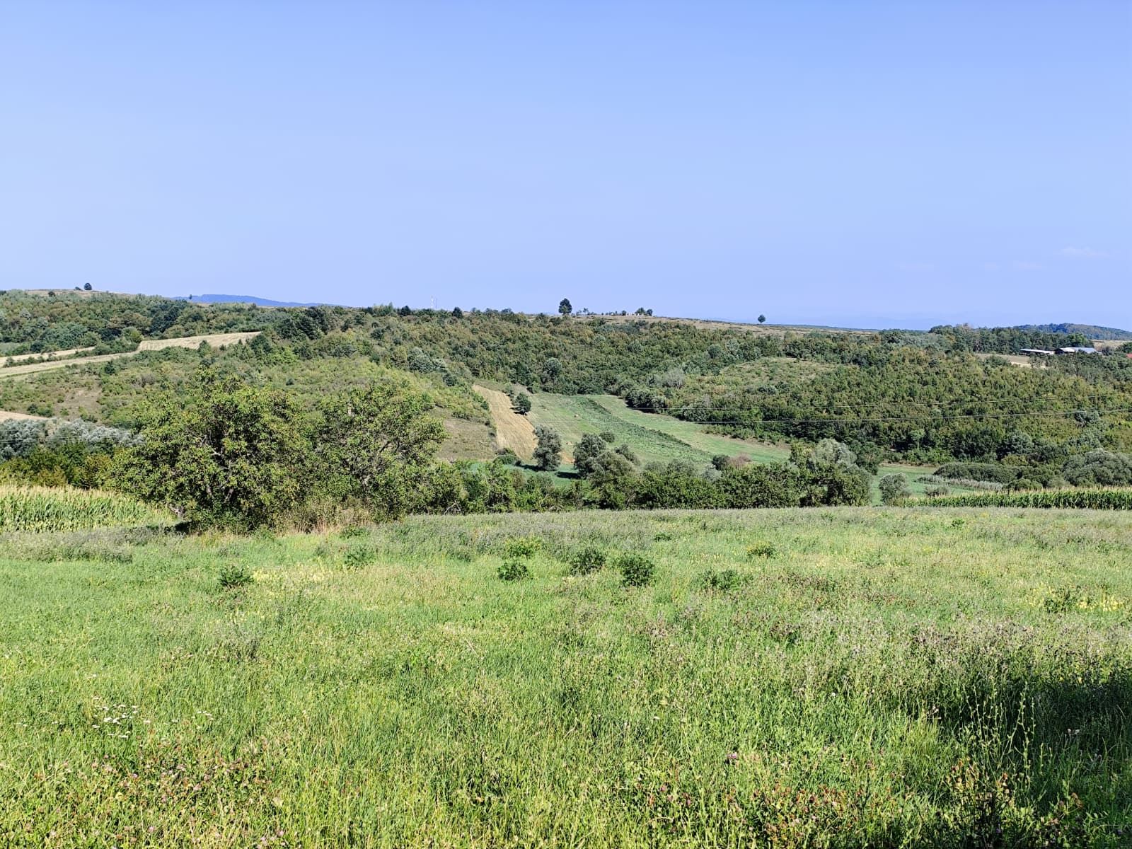 Casa la tara, Calea Mare, Bihor, teren mare, 2 intrari auto – vanzare — fotografia 18