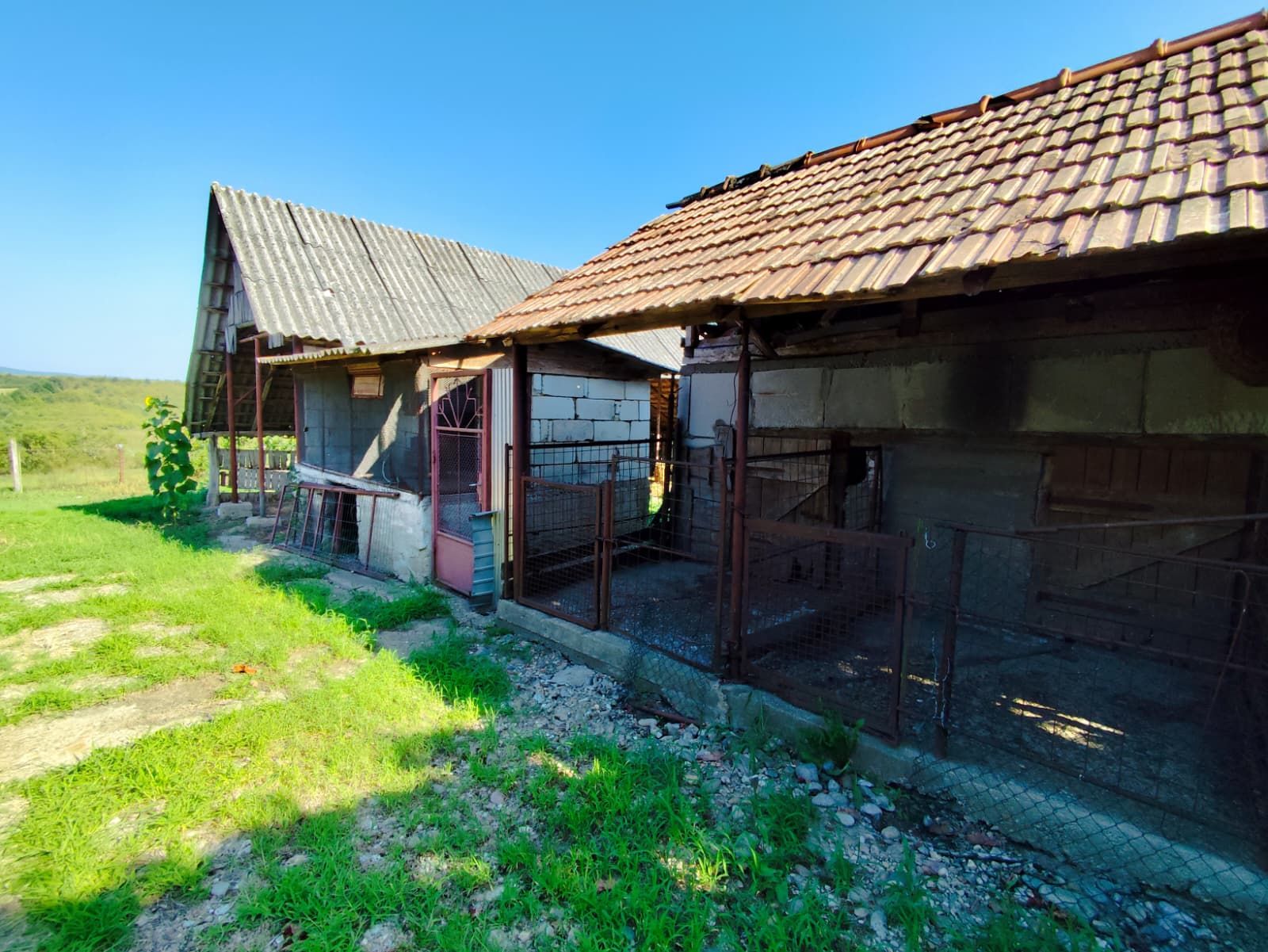 Casa la tara, Calea Mare, Bihor, teren mare, 2 intrari auto – vanzare — fotografia 5