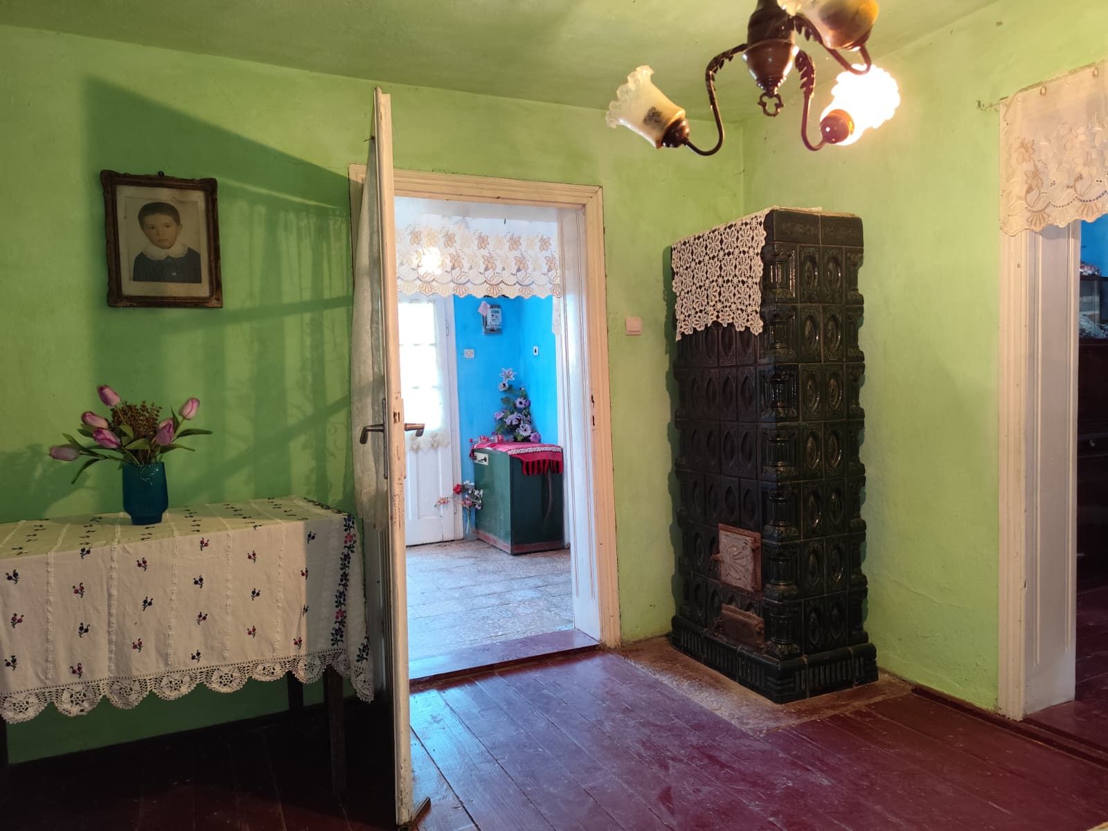 Casa la tara, Calea Mare, Bihor, teren mare, 2 intrari auto – vanzare — fotografia 7