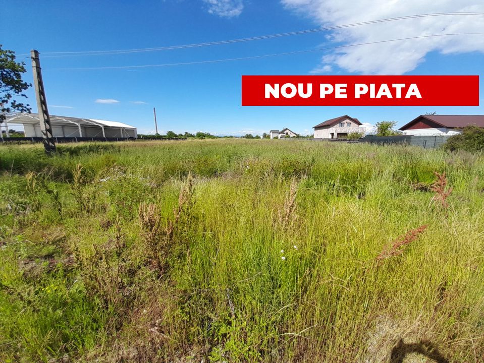 Teren intravilan Bradu 1312 mp 2 deschideri