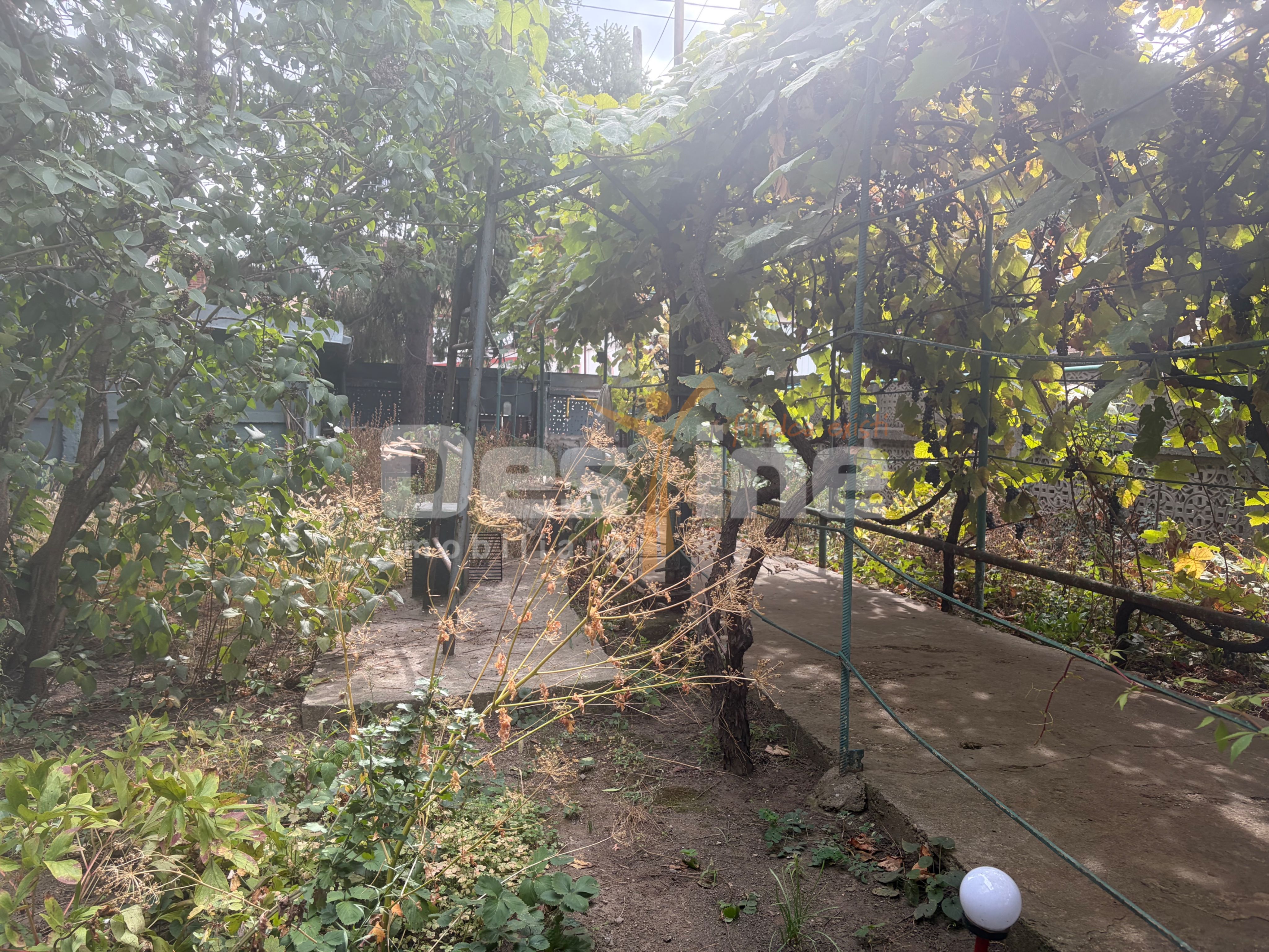 Teren cu construcții și potențial de dezvoltare | Ciupercă – Domenii — fotografia 2