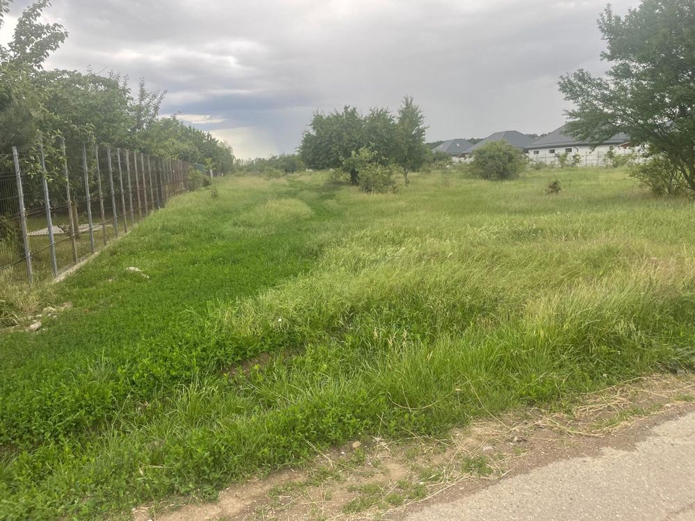 Teren 5.000 mp | Tamași – Corbeanca | Lângă Pădure | Utilități