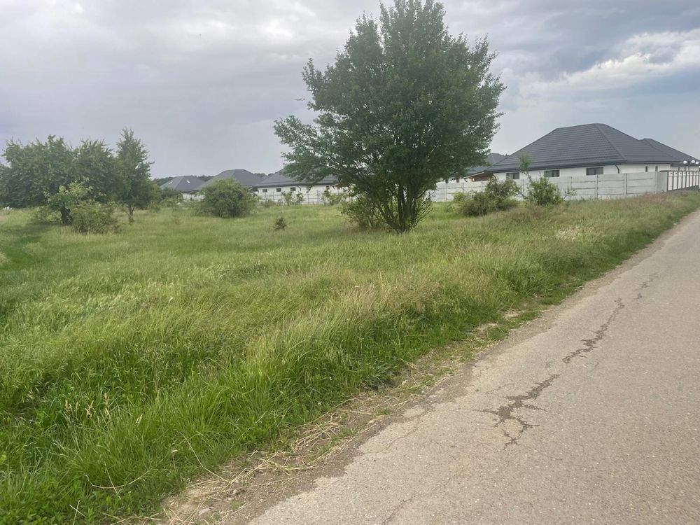 Teren 5.000 mp | Tamași – Corbeanca | Lângă Pădure | Utilități — fotografia 2