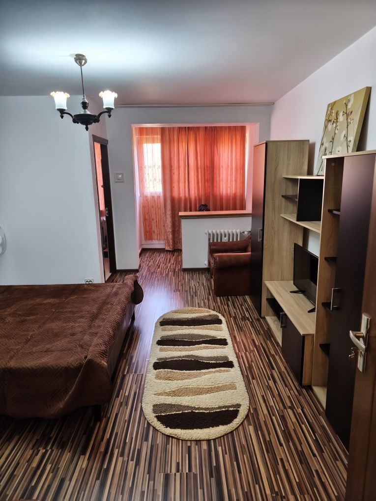 Garsonieră Brazda lui Novac — fotografia 4