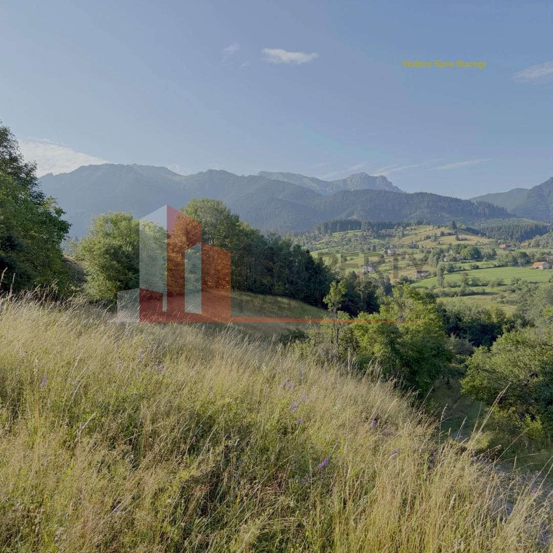 Teren Sohodol 10.398 mp  cu vedere panoramica — fotografia 5