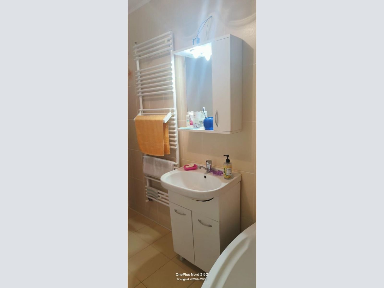 De vânzare: Vilă 3 camere, curte individuală – Zona Tei (Sector 2) — fotografia 12