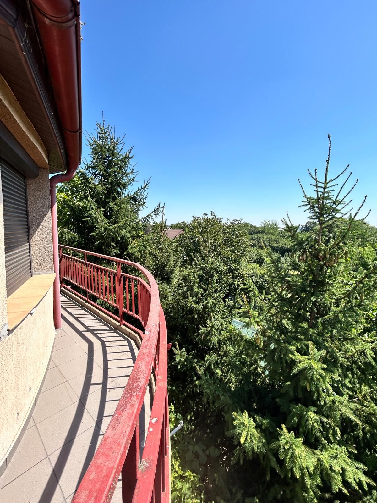 Casă individuală Buftea, 3.162 mp teren, ieșire spre lac — fotografia 33