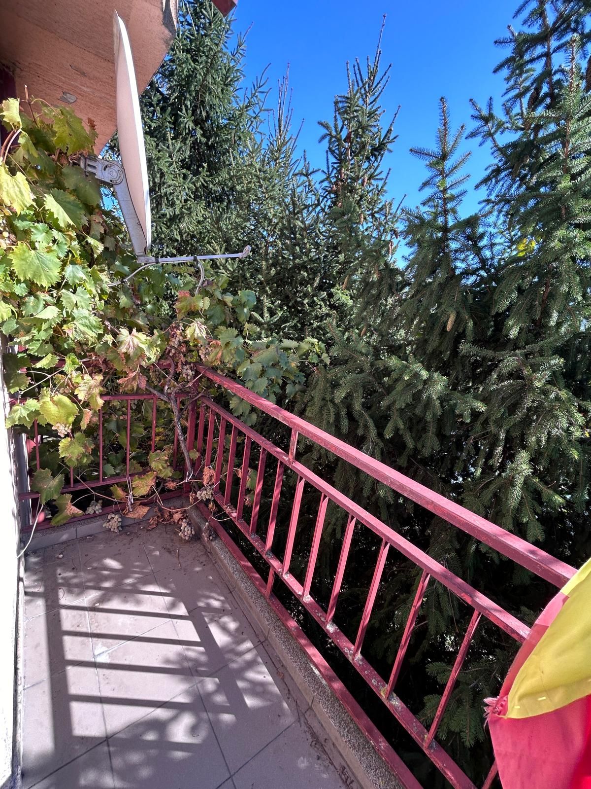 Casă individuală Buftea, 3.162 mp teren, ieșire spre lac — fotografia 34