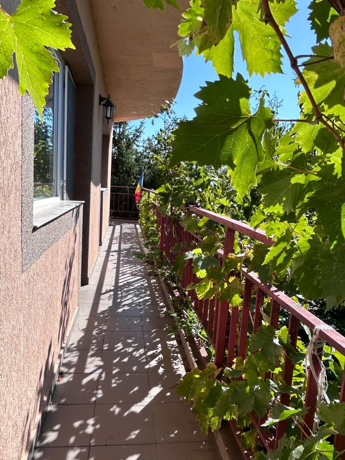 Casă individuală Buftea, 3.162 mp teren, ieșire spre lac — fotografia 37