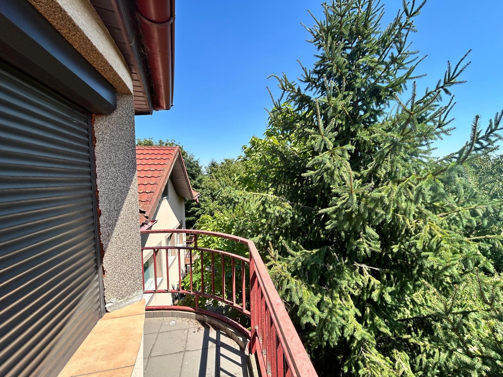 Casă individuală Buftea, 3.162 mp teren, ieșire spre lac — fotografia 38