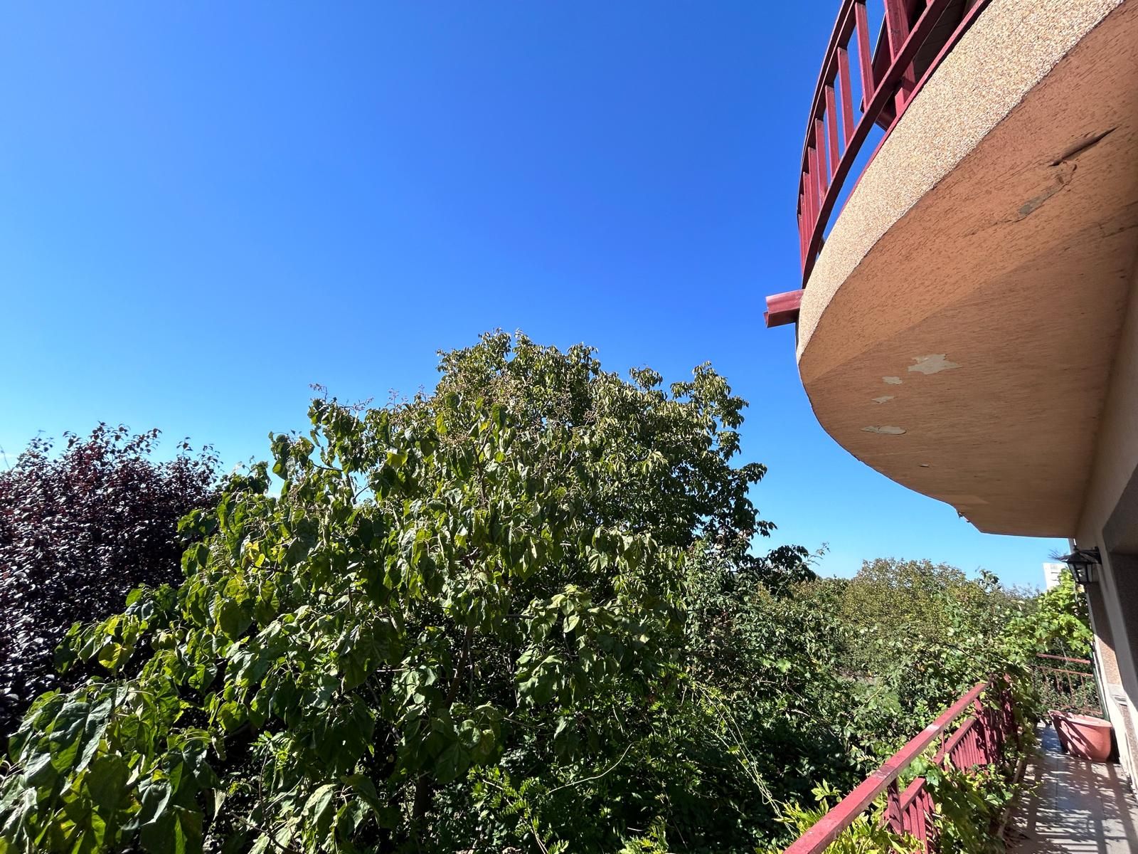 Casă individuală Buftea, 3.162 mp teren, ieșire spre lac — fotografia 40