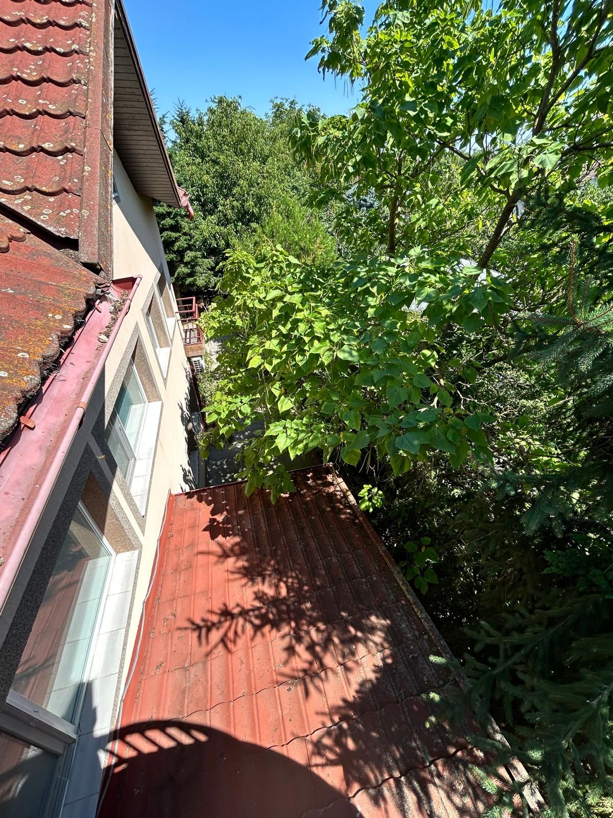 Casă individuală Buftea, 3.162 mp teren, ieșire spre lac — fotografia 42