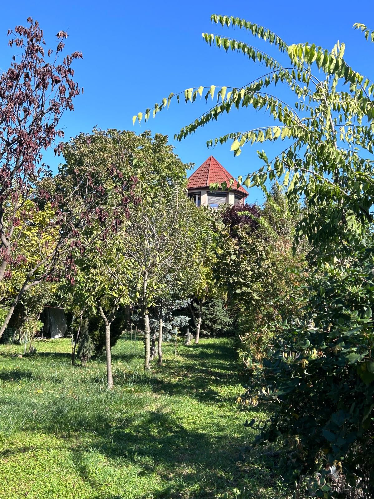 Casă individuală Buftea, 3.162 mp teren, ieșire spre lac — fotografia 43