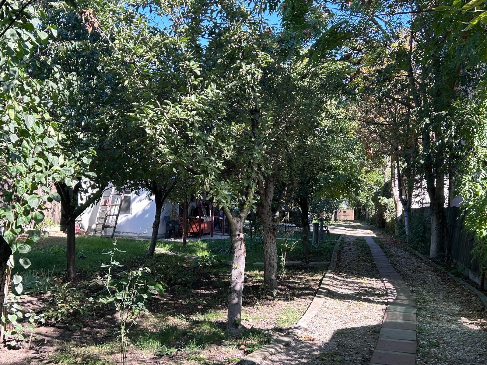 Casă individuală Buftea, 3.162 mp teren, ieșire spre lac — fotografia 44