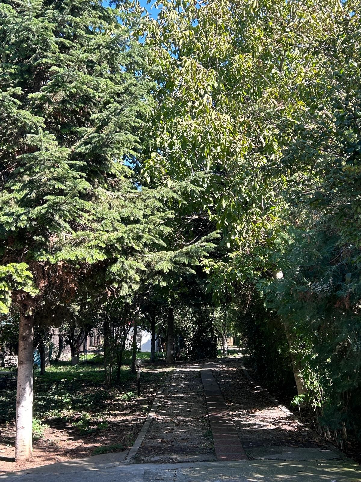 Casă individuală Buftea, 3.162 mp teren, ieșire spre lac — fotografia 45
