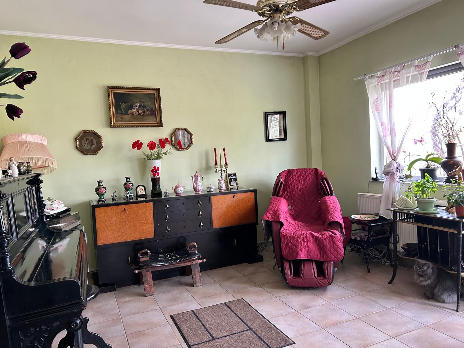 Casă individuală Buftea, 3.162 mp teren, ieșire spre lac — fotografia 6