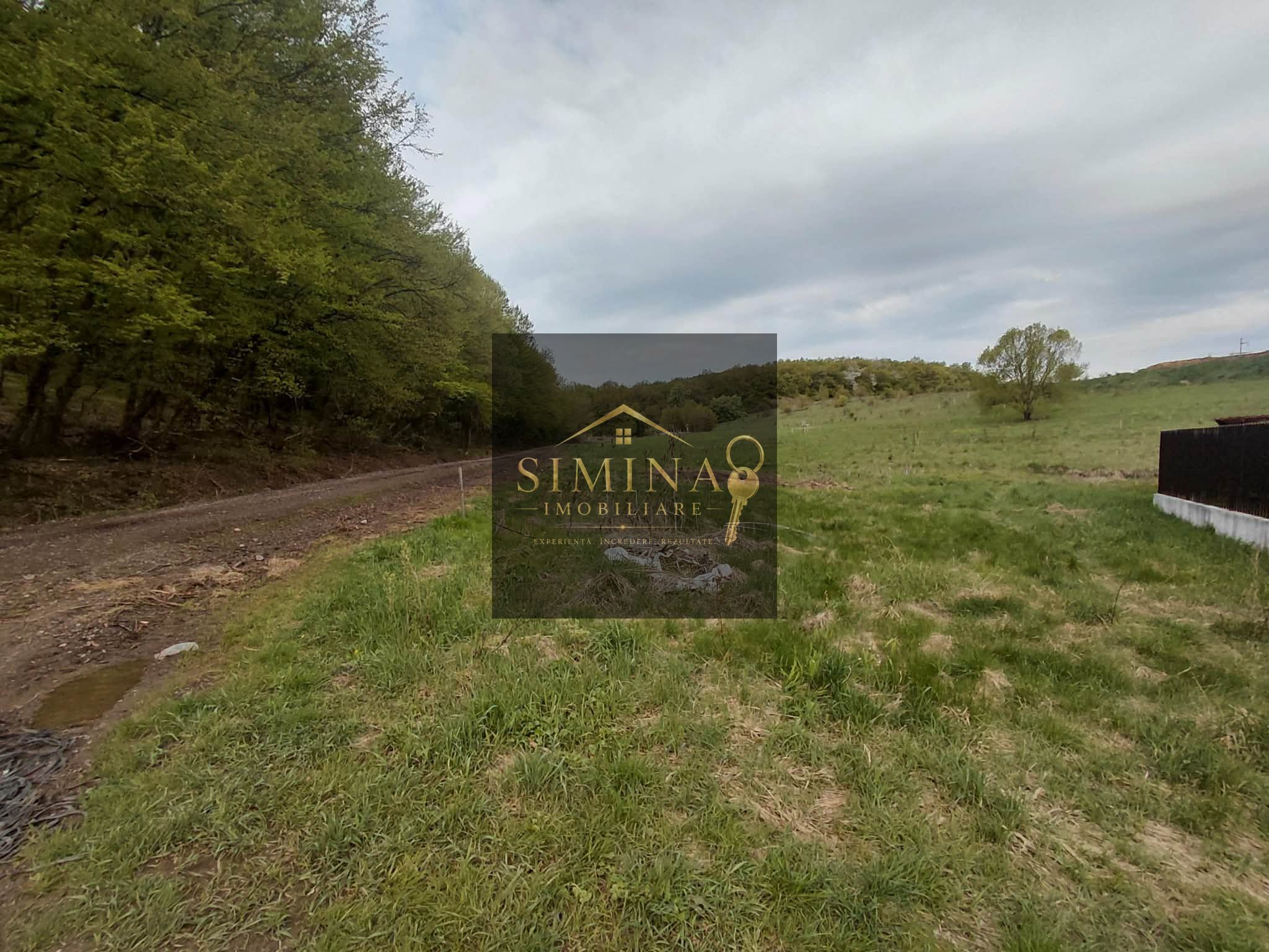 Teren 800 Mp, Intravilan, Corunca, Zona Boema — fotografia 3