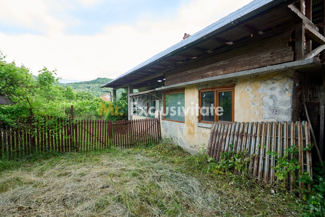 Casa cu teren generos - 4696 mp Apa Sarata - Campulung !! — fotografia 18