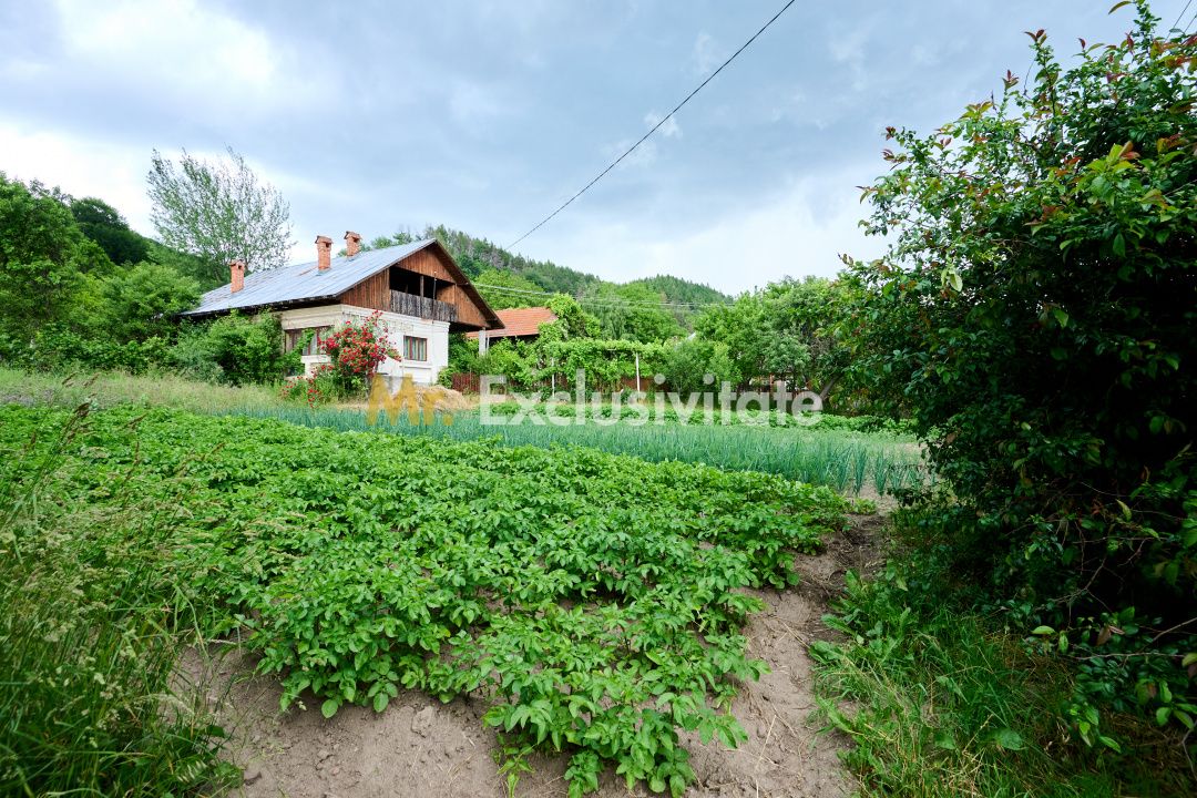 Casa cu teren generos - 4696 mp Apa Sarata - Campulung !! — fotografia 5