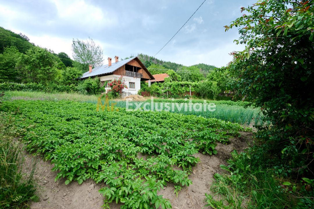 Casa cu teren generos - 4696 mp Apa Sarata - Campulung !! — fotografia 9