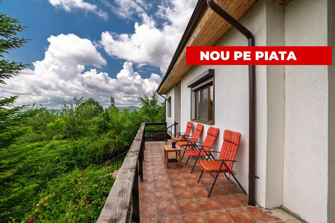 Casa moderna si casa bunicii + 6300 mp teren,Oaza autentica in Corbi Arges-