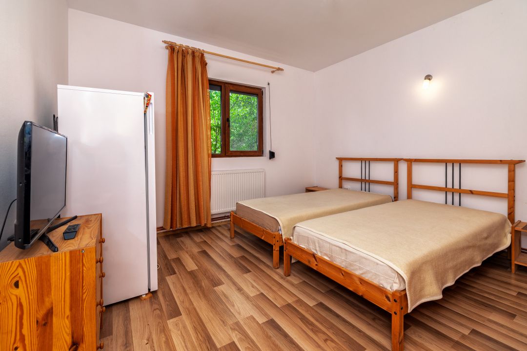 Casa moderna si casa bunicii + 6300 mp teren,Oaza autentica in Corbi Arges- — fotografia 14