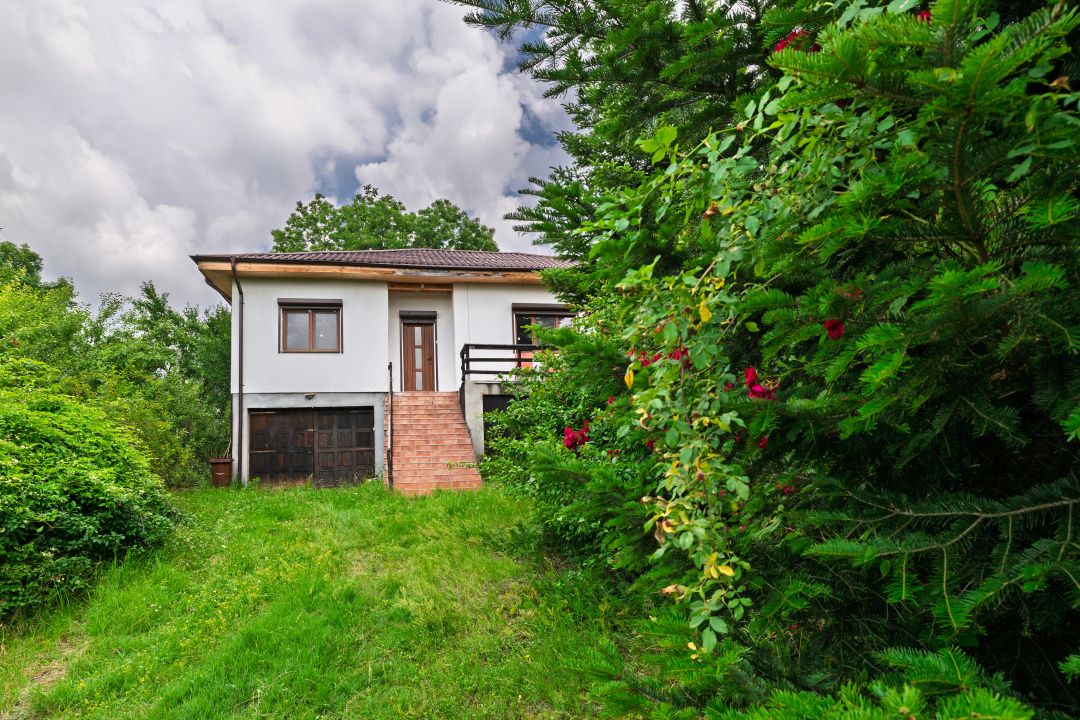 Casa moderna si casa bunicii + 6300 mp teren,Oaza autentica in Corbi Arges- — fotografia 3