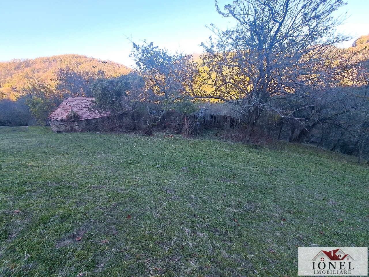 Vanzare casa cu 17399 mp teren Vintu de Jos - Valea Vintului