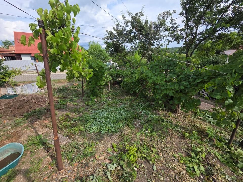 CASĂ DE VÂNZARE IN MIRSID — fotografia 6