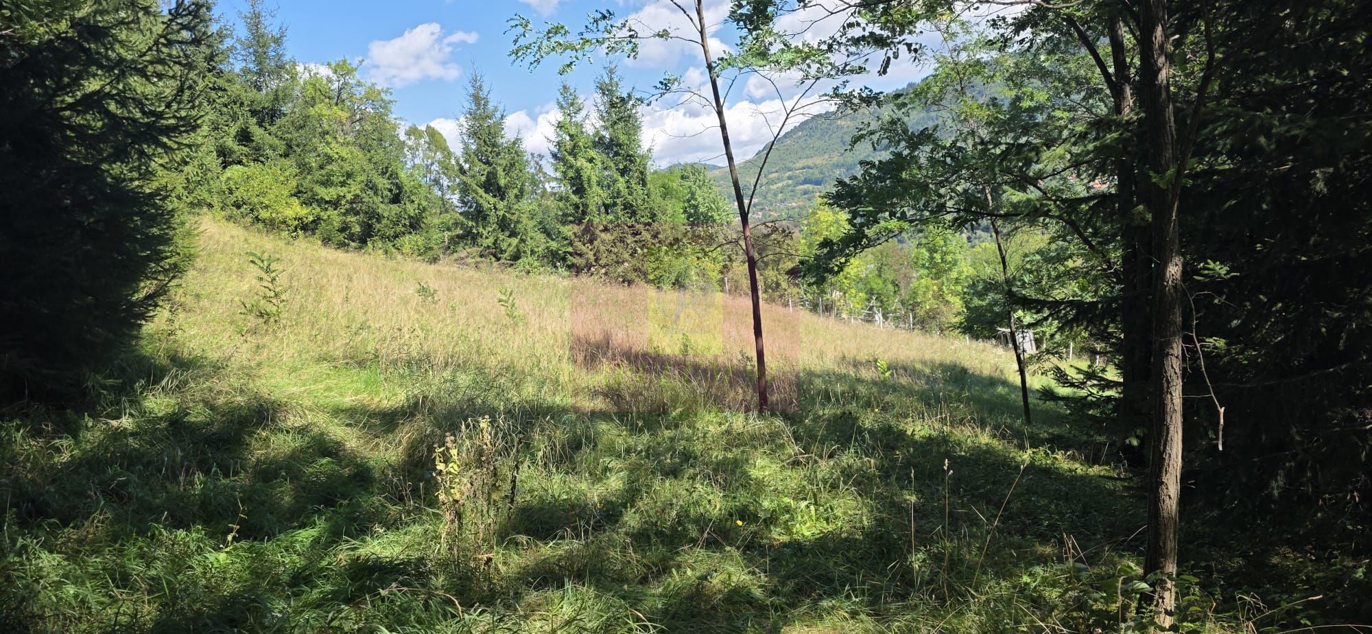 Teren intravilan 1825 mp de vanzare in Valea Doftanei — fotografia 3