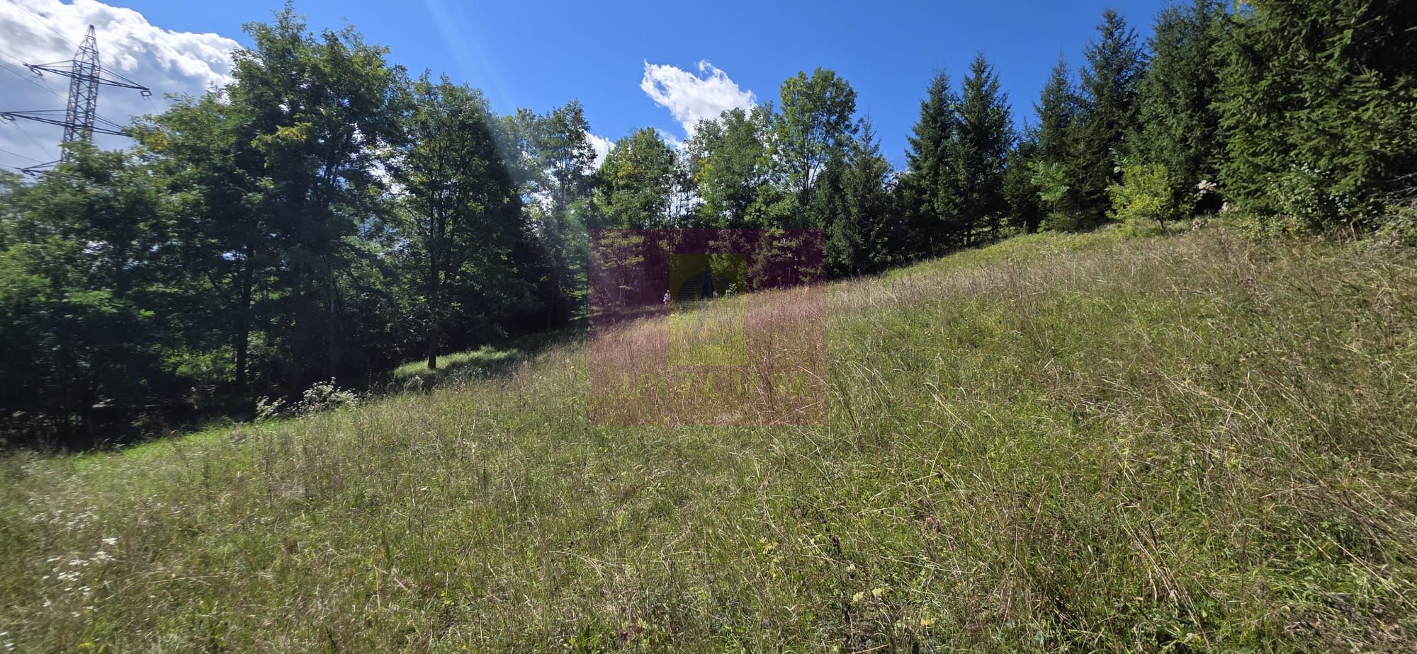 Teren intravilan 1825 mp de vanzare in Valea Doftanei — fotografia 4