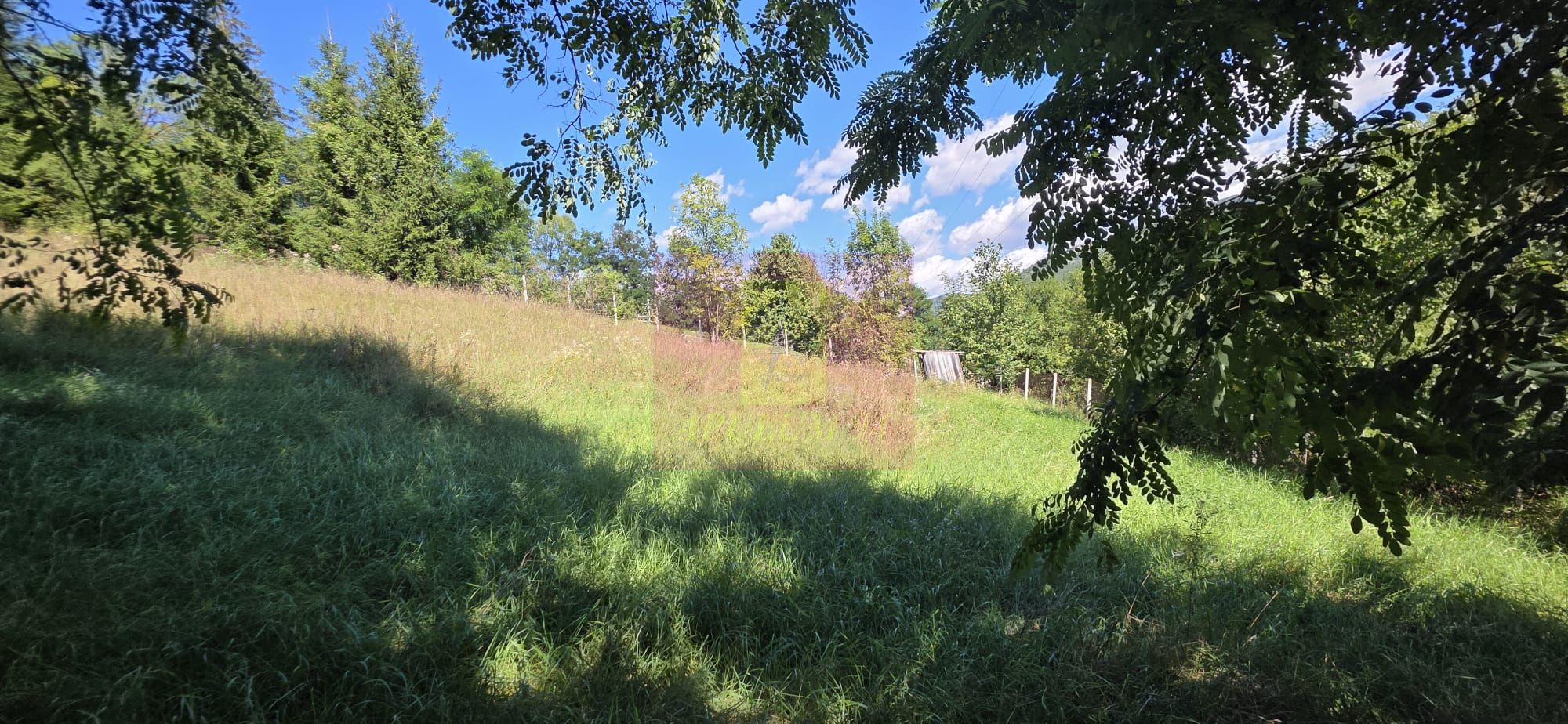 Teren intravilan 1825 mp de vanzare in Valea Doftanei — fotografia 5