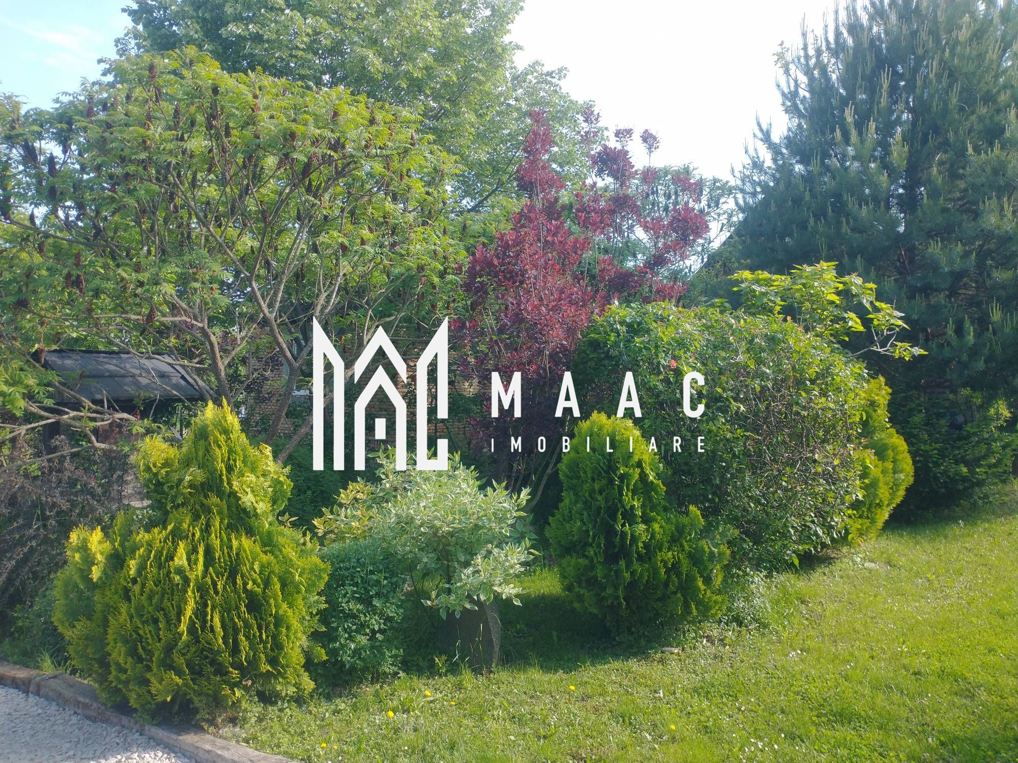 Casă de vânzare în Bazna | 0,75 ha teren | 3 CF — fotografia 6
