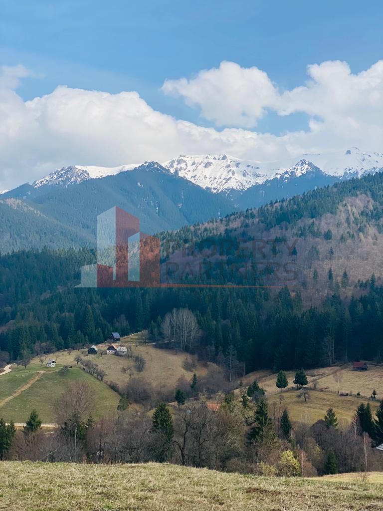 Teren Bran /Balaban — fotografia 5