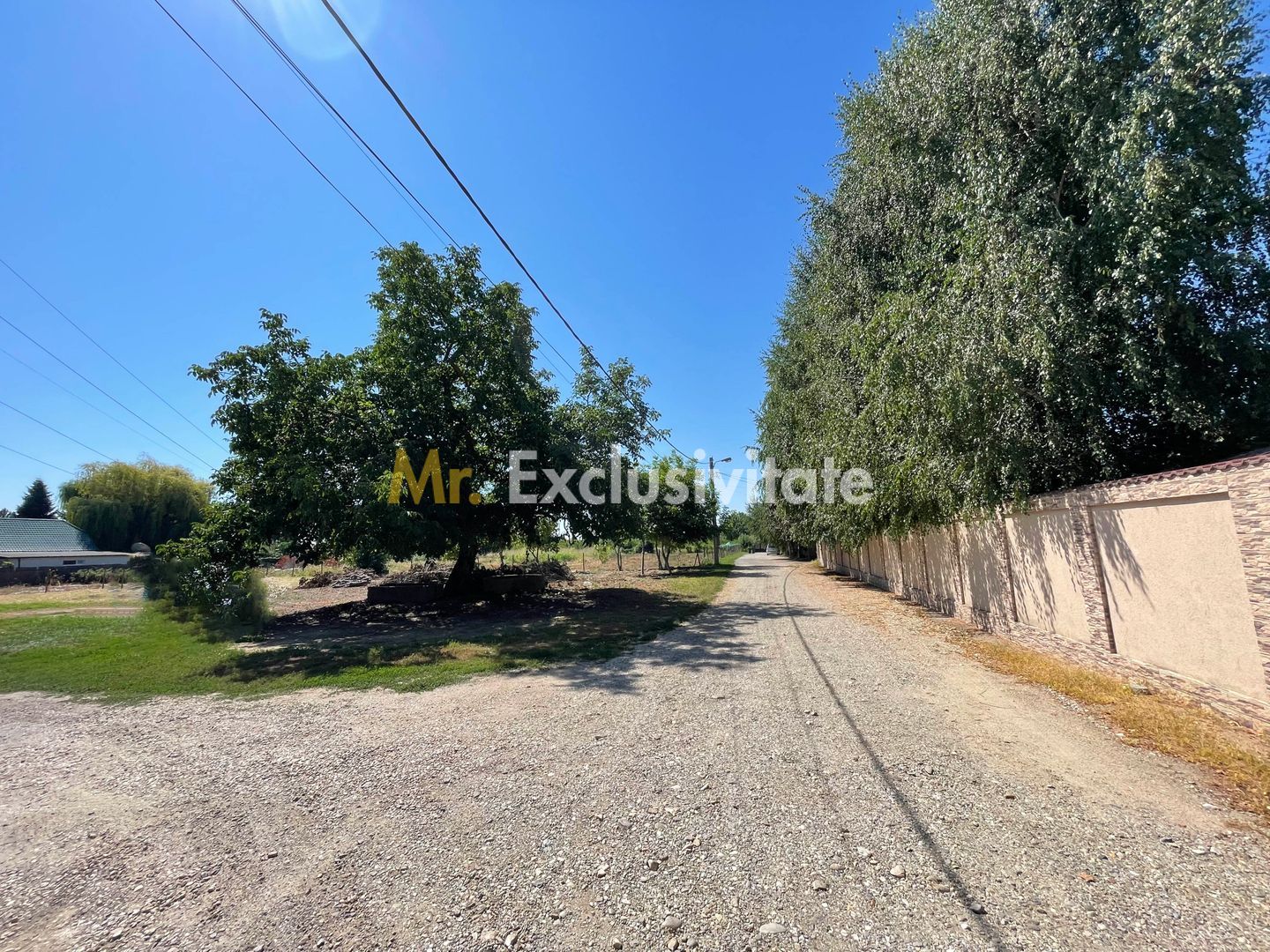 Teren intravilan | 2 deschideri | Ștefăneștii Noi – Str. Primăverii — fotografia 2