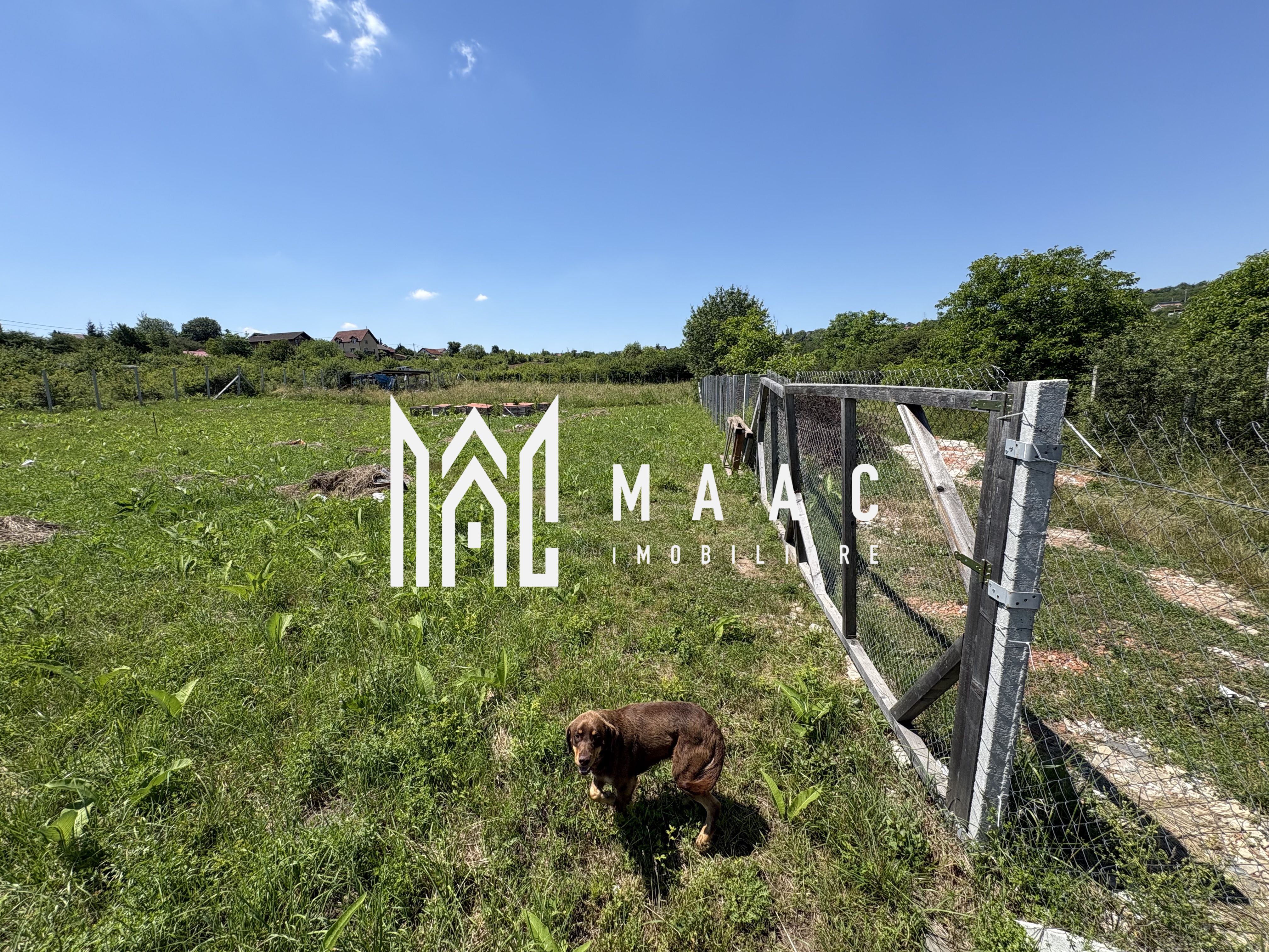 Teren intravilan 500 mp | Daia Nouă, Sibiu | acces facil, utilități în apropiere — fotografia 6