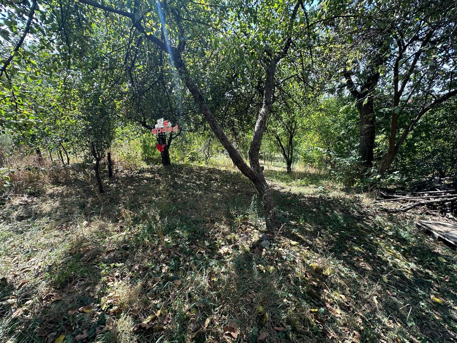 De vânzare teren în Tg Mureș - Dâmb — fotografia 3