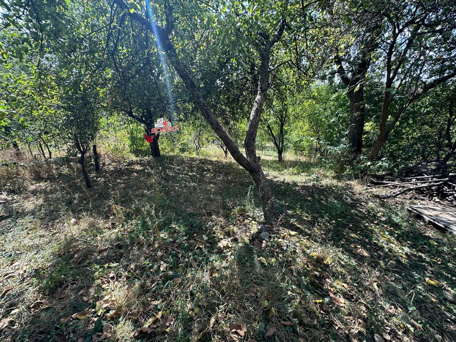 De vânzare teren în Tg Mureș - Dâmb — fotografia 5