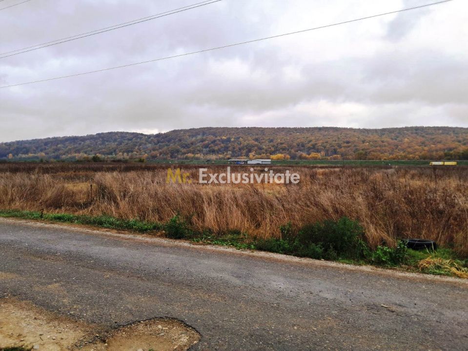 Teren intravilan de vanzare Tg.Jiu — fotografia 6