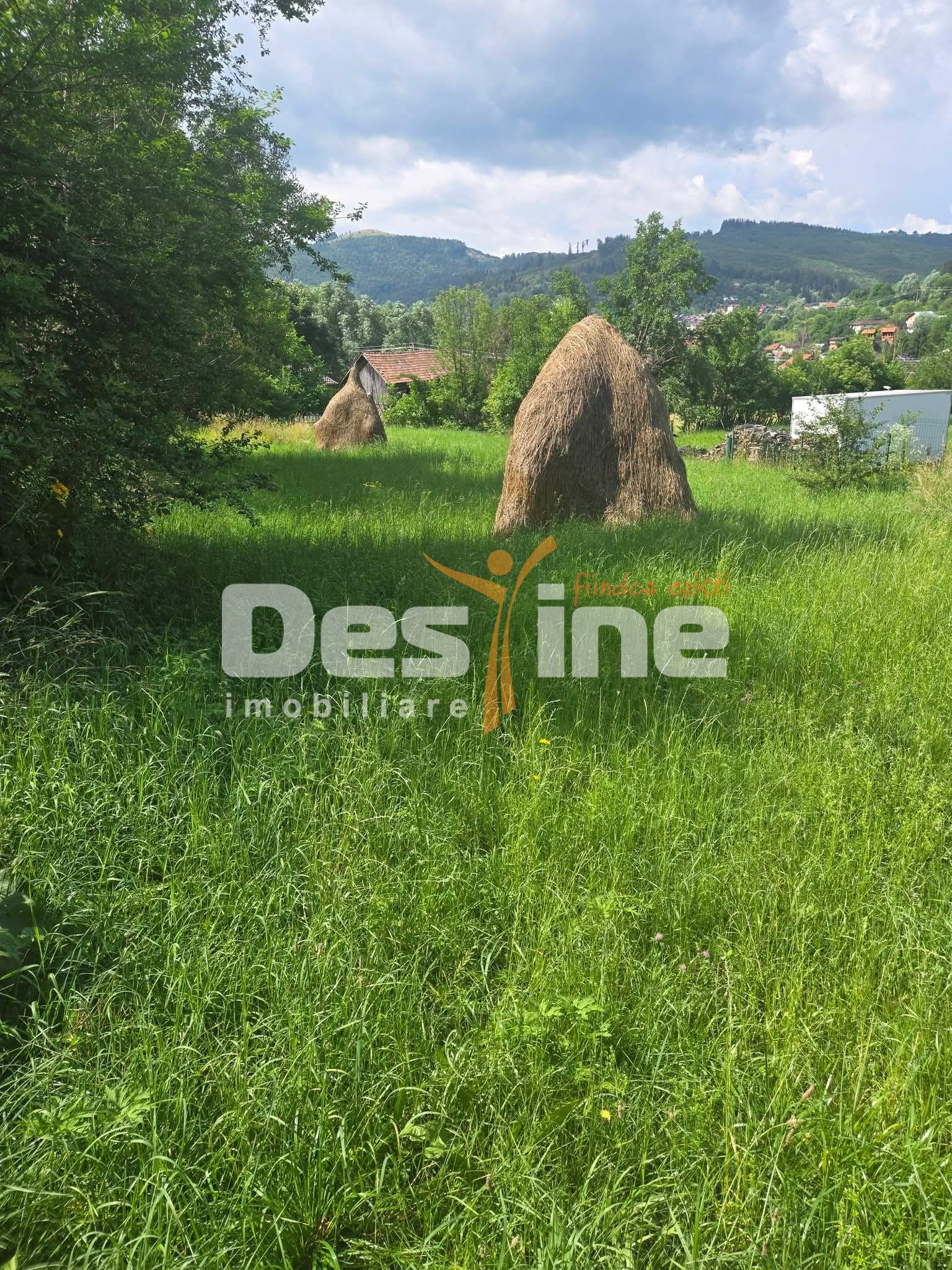 Teren în Valea Doftanei,  în suprafață de 1030 mp, zona Ermeneasa — fotografia 3