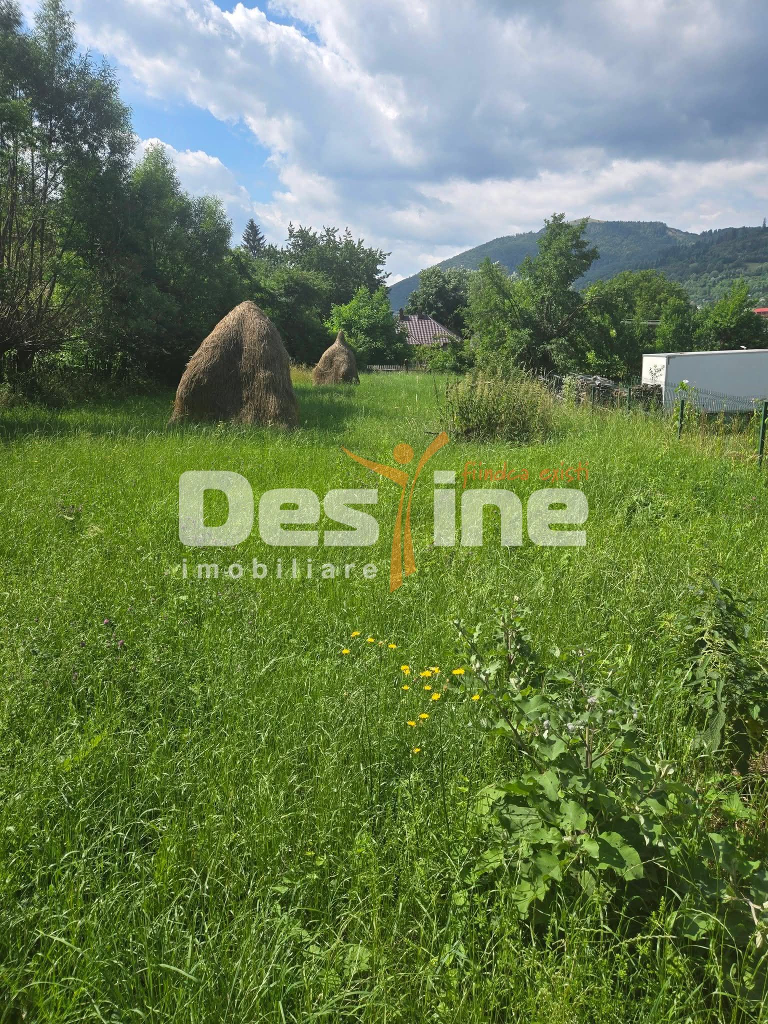 Teren în Valea Doftanei,  în suprafață de 1030 mp, zona Ermeneasa — fotografia 4