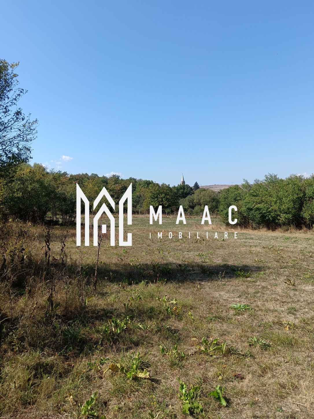 Teren  1000 mp, județul Sibiu, localitatea Amnas, pretabil A frame — fotografia 3