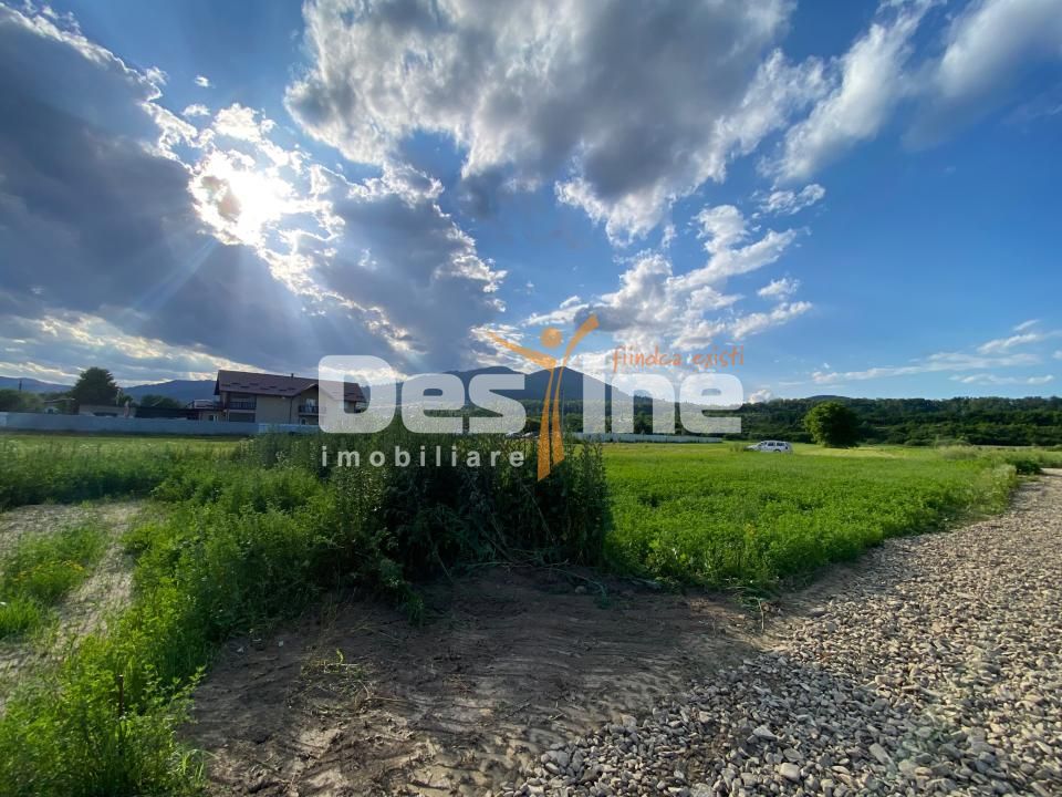 Teren de vanzare Alexandru cel Bun 20.000 Euro 735mp — fotografia 3