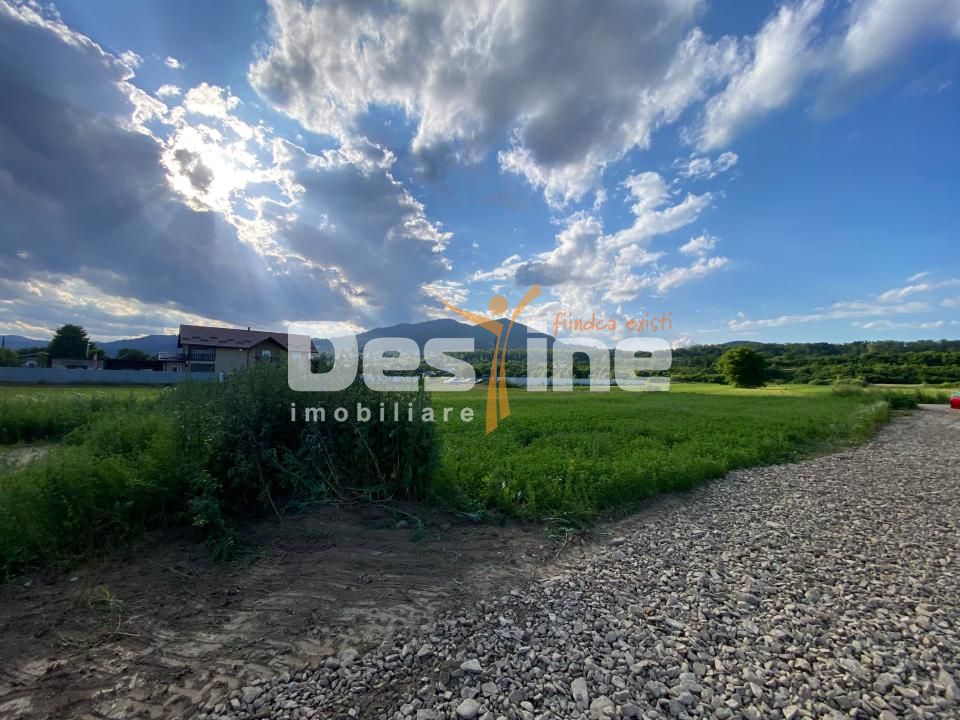 Teren de vanzare Alexandru cel Bun 20.000 Euro 735mp — fotografia 4